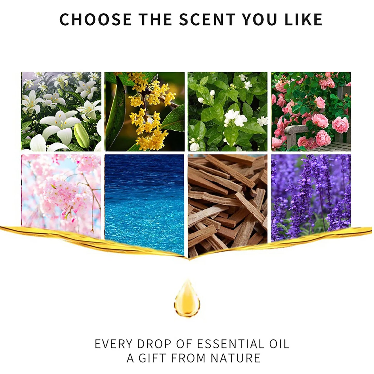 10Ml Aromatic Plant Water-Soluble Essential Oil Used for Humidifier Aromatherapy Diffuser Air Fresh Rose Lily Lemon